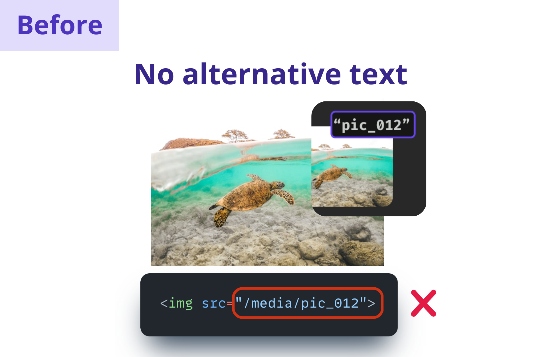 An image of a sea turtle underwater labeled only as 'pic_012' with no descriptive alt text provided